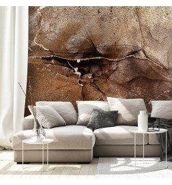 Fototapet - Rock abstraction - brown and beige pattern in the style of cracked stone