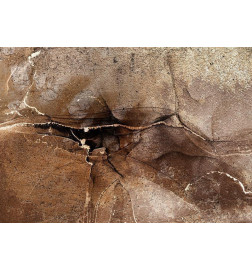 Fotobehang - Rock abstraction - brown and beige pattern in the style of cracked stone