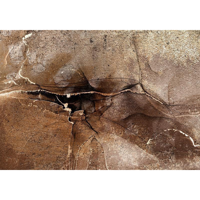 34,00 € Fotomural - Rock abstraction - brown and beige pattern in the style of cracked stone