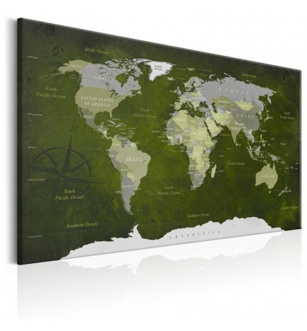76,00 € Decorative Pinboard - Malachite World