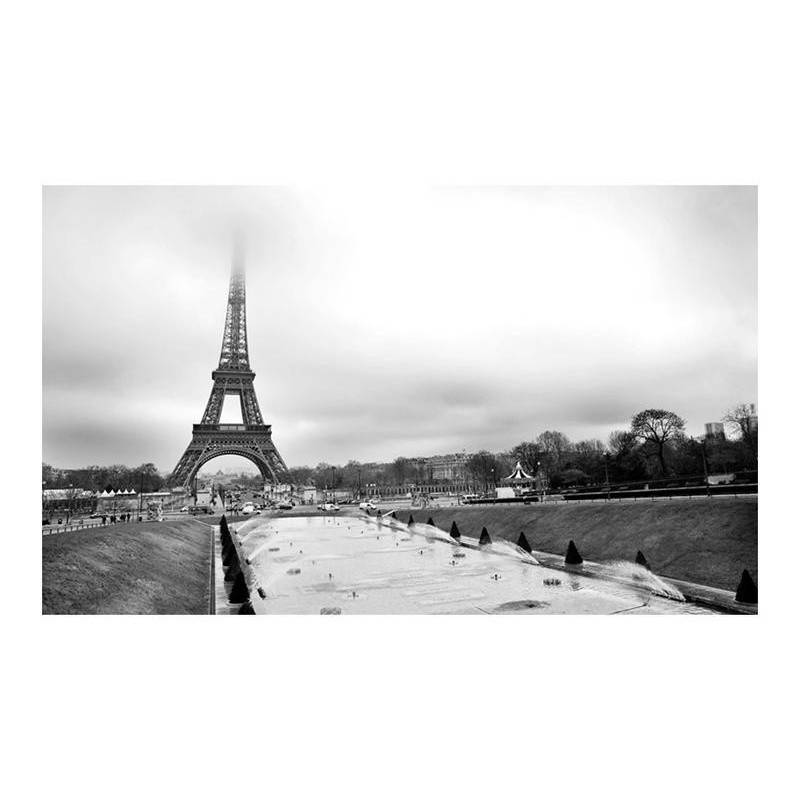 96,00 €Fotomurale con la Torre Eiffel cm. 450x270 - arredalacasa