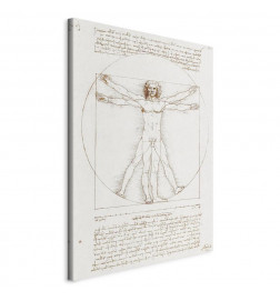 Paveikslas - Vitruvian Man (Proportions of the human body according to Vitruvius)