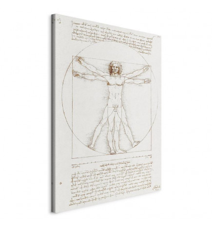 Leinwandbild - Vitruvian Man (Proportions of the human body according to Vitruvius)