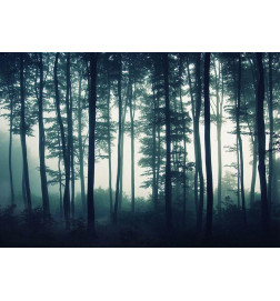 Foto tapete - Dark Forest