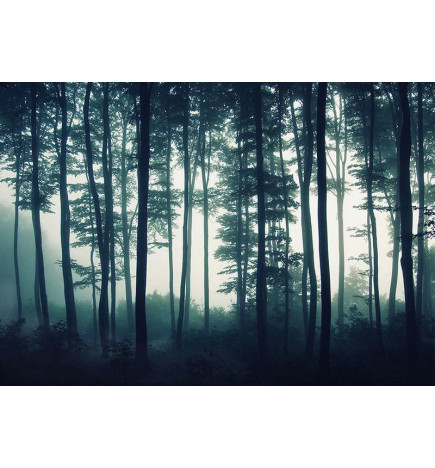 Fototapete - Dark Forest
