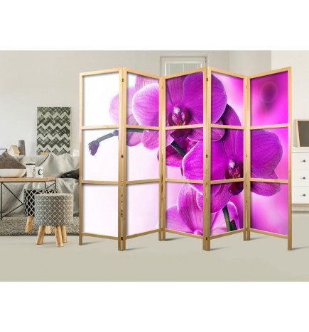 Japanese Room Divider - Violet Orchids II