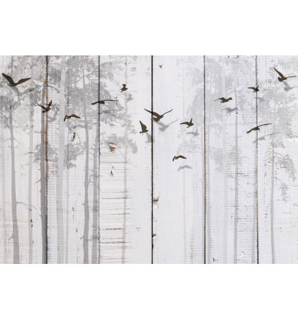 Fototapeta - Minimalist motif - black birds on a white background with wood texture