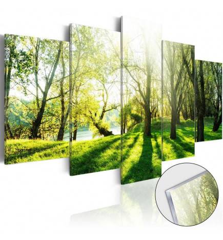 Akrilli klaasiga plaad Roheline metsa cm.100x50 ja 200x100
