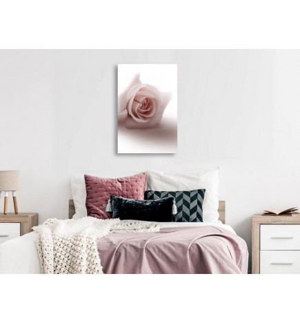 Schilderij - Floral Glamour Glow (1-part) - Delicate and Pastel Pink Rose