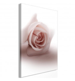 Quadro con una bella rosa con lo sfondo bianco