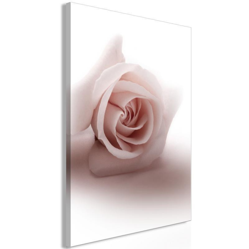 31,90 €Quadro con una bella rosa con lo sfondo bianco