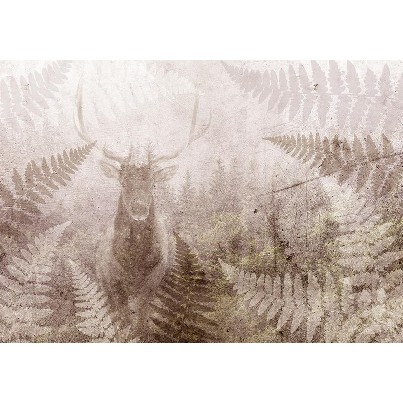 34,00 € Foto tapete - Forest motif - deer with antlers among fern leaves on concrete pattern
