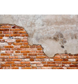 Wall Mural - Eclectic masonry - slabs of textured concrete on a background of red bricks