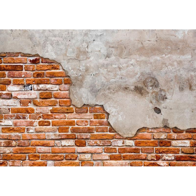 34,00 € Fotobehang - Eclectic masonry - slabs of textured concrete on a background of red bricks