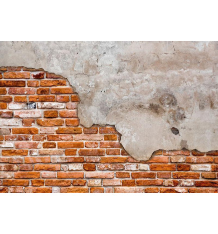 Fotobehang - Eclectic masonry - slabs of textured concrete on a background of red bricks
