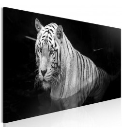 Canvas Print - Shining Tiger (1 Part) Black and White Narrow