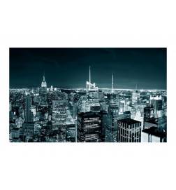 96,00 €Fotomurale in bianco e nero a New York cm. 450x270
