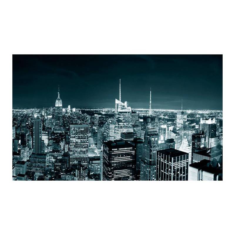 96,00 €Fotomurale in bianco e nero a New York cm. 450x270