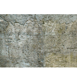 Wall Mural - Stony Barriere
