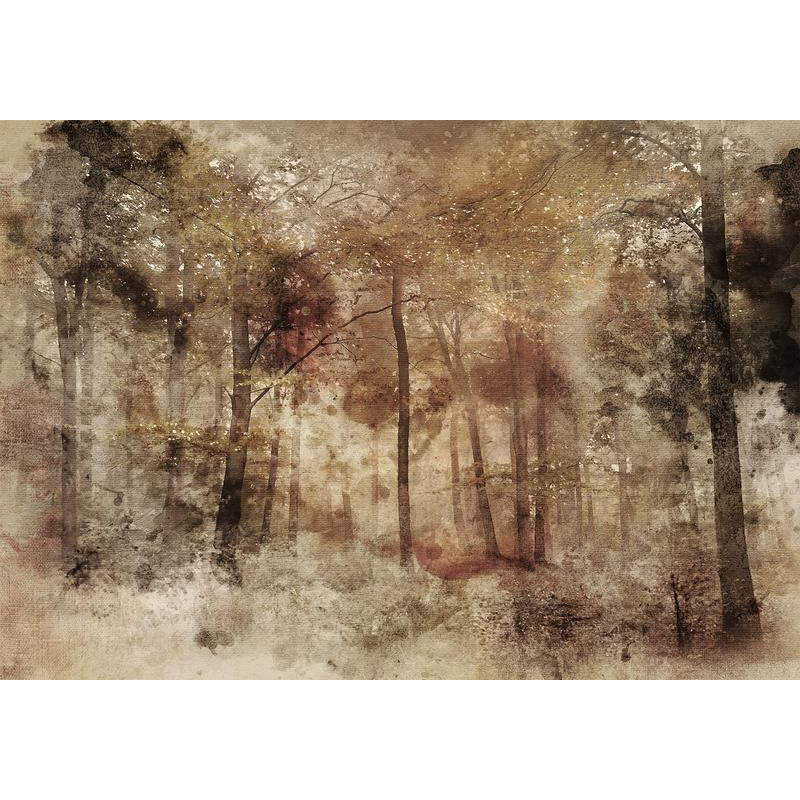 34,00 € Wall Mural - Lost in the woods
