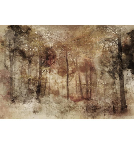 Fotobehang - Lost in the woods
