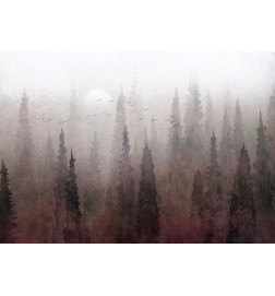 Foto tapete - Birds flight over treetops - landscape of a dark forest in fog