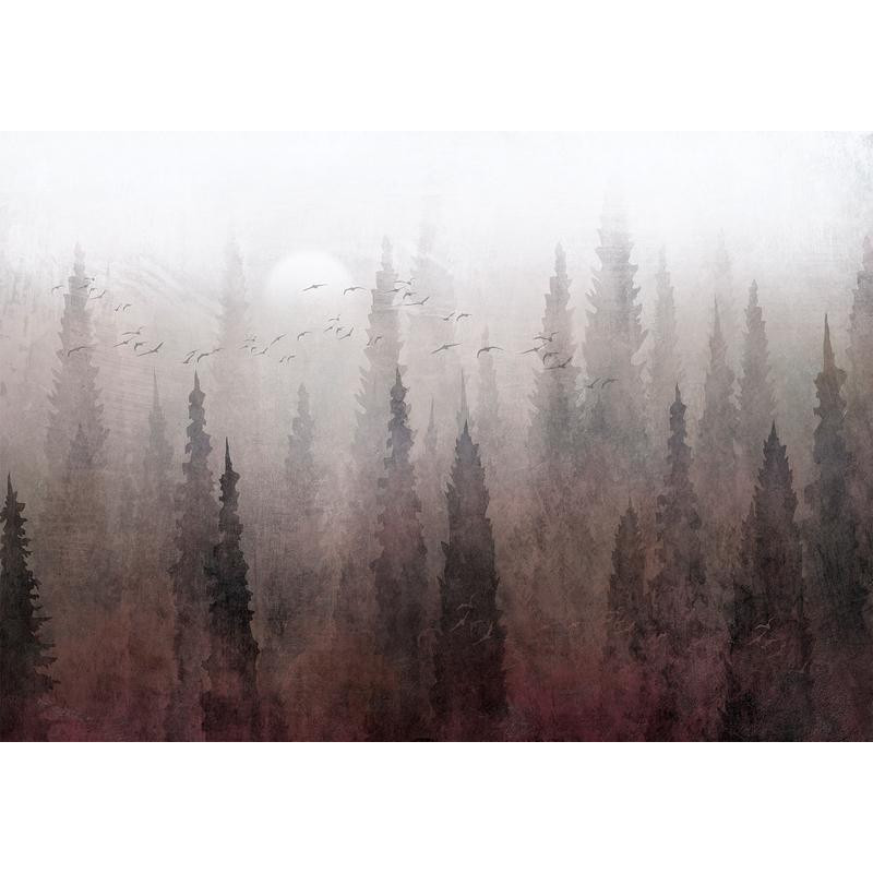 34,00 € Fotobehang - Birds flight over treetops - landscape of a dark forest in fog