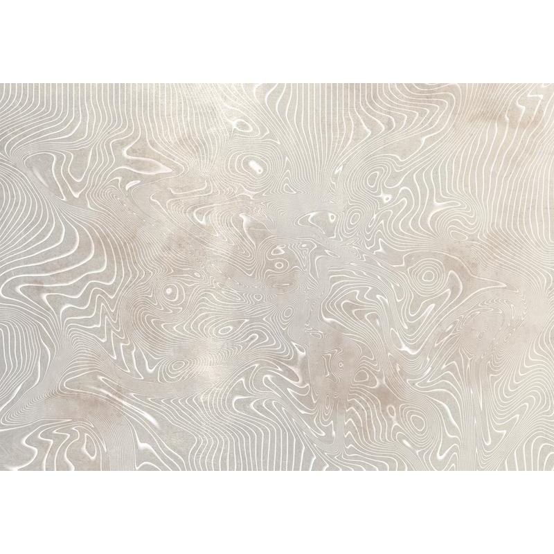 34,00 € Fototapete - Flowing shapes - abstract beige and white background in patterned compositions