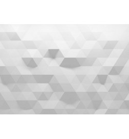 34,00 € Fotobehang - Harmony of triangles - geometric illusion of grey and white elements