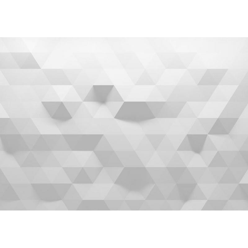 34,00 €Mural de parede - Harmony of triangles - geometric illusion of grey and white elements