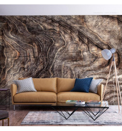 Wall Mural - Signs of the times - an abstract background with the wrinkled bark of an old tree