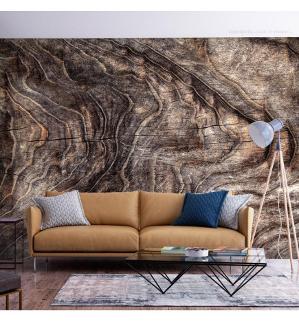 34,00 €Mural de parede - Signs of the times - an abstract background with the wrinkled bark of an old tree