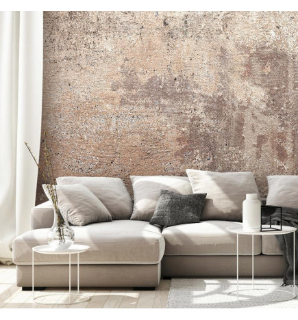 34,00 € Wall Mural - Lost Story