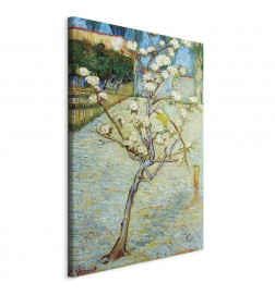 Leinwandbild - Blossoming Pear Tree