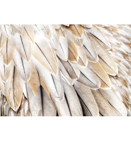 Fototapeet - Close-up of birds wings - uniform close-up on beige bird feathers