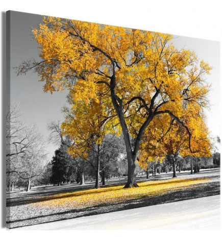 Canvas Print - Autumn in the Park (1 Part) Wide Gold