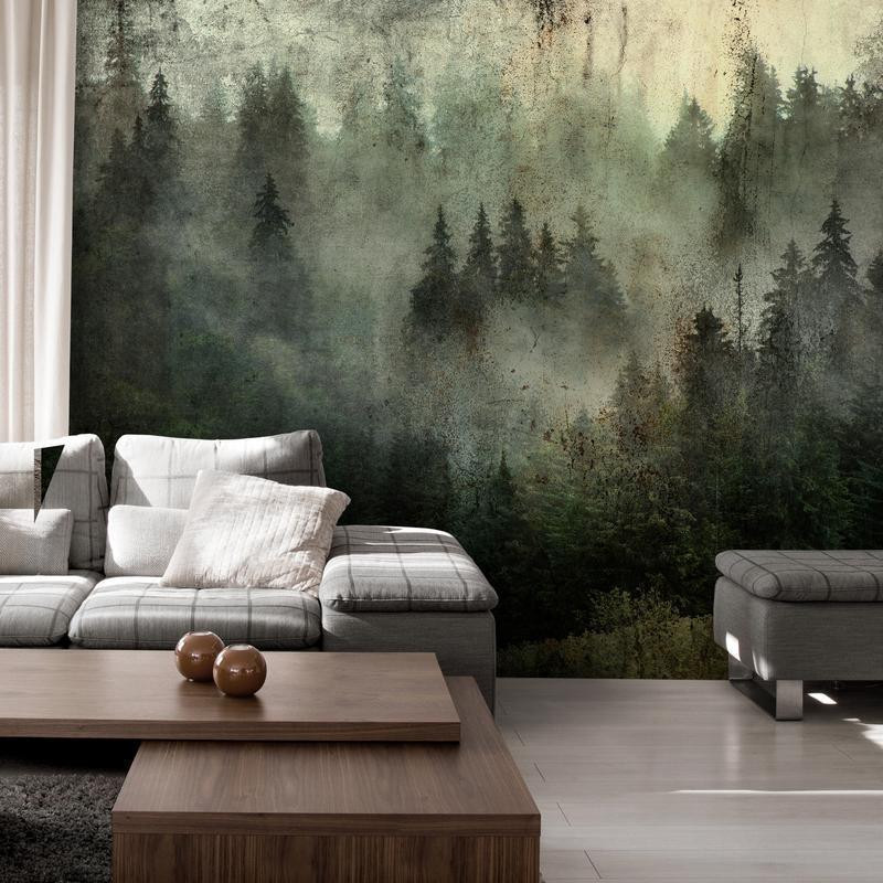 34,00 € Wall Mural - Misty Beauty of the Forest