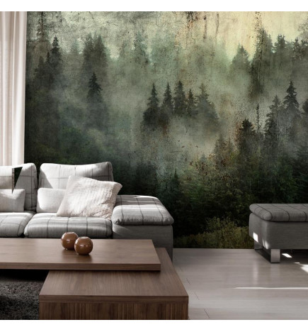 Wall Mural - Misty Beauty of the Forest