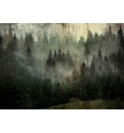 fotomurale con una foresta nella nebbia - arredalacasa