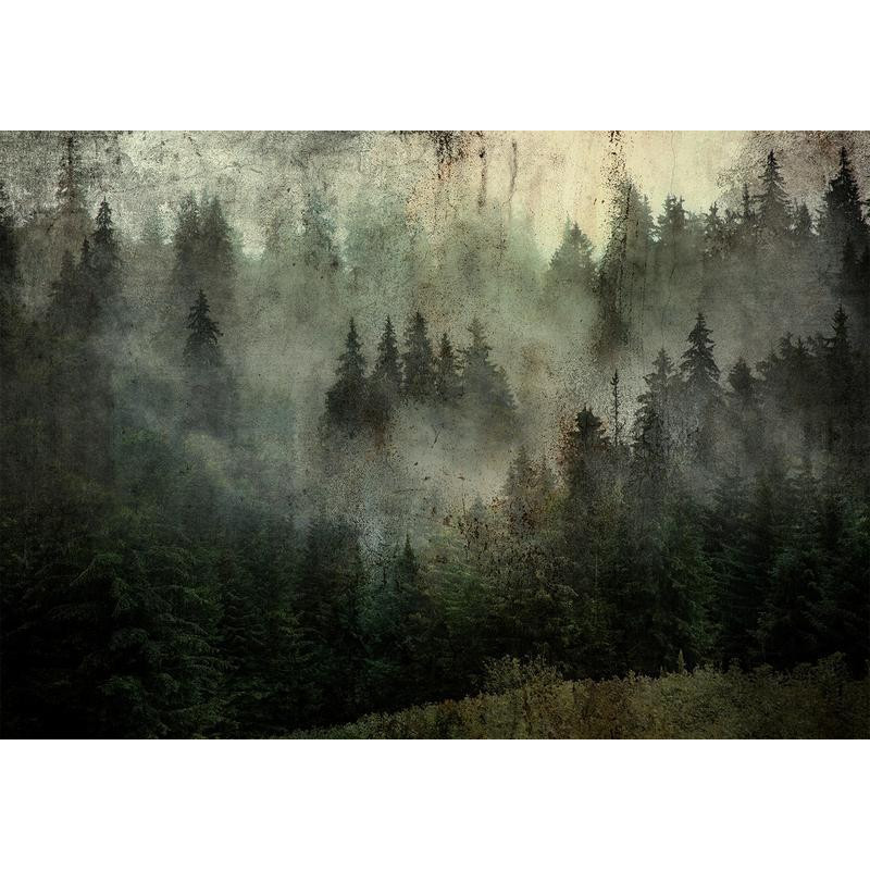 34,00 €fotomurale con una foresta nella nebbia - arredalacasa