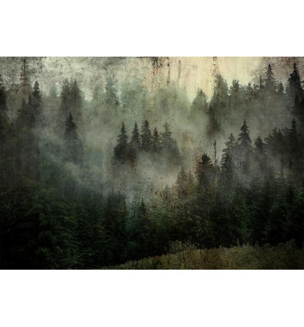Fototapete - Misty Beauty of the Forest