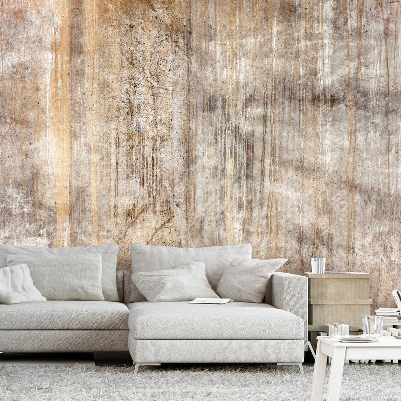 34,00 € Wall Mural - Abstract beige - background with black textured concrete patterns