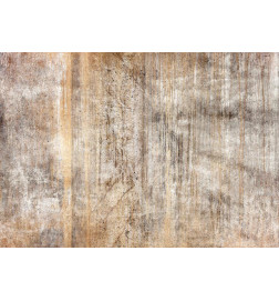 Fotomural - Abstract beige - background with black textured concrete patterns