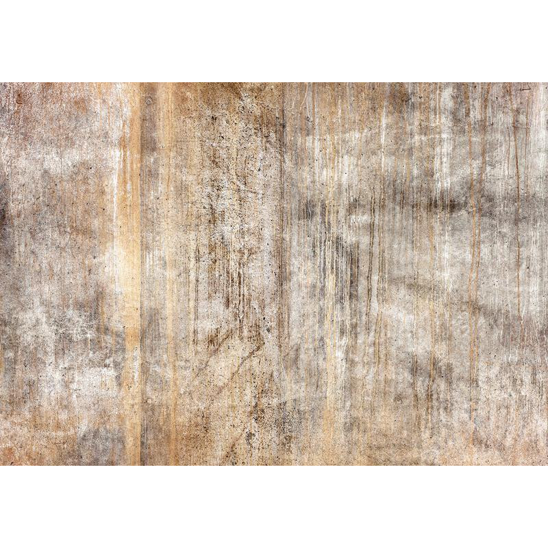 34,00 € Fotomural - Abstract beige - background with black textured concrete patterns