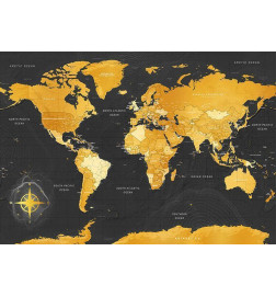 Fotomurale con il mappamondo dorato con sfondo nero