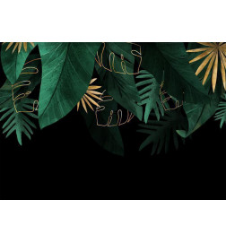 Wall Mural - Jungle and composition - motif of green and golden leaves on a black background