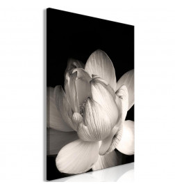Leinwandbild - Delicacy of Petals in Nature (1-part) - Flower in Black and White