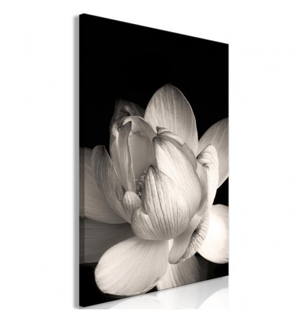 Cuadro - Delicacy of Petals in Nature (1-part) - Flower in Black and White
