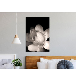 Schilderij - Delicacy of Petals in Nature (1-part) - Flower in Black and White