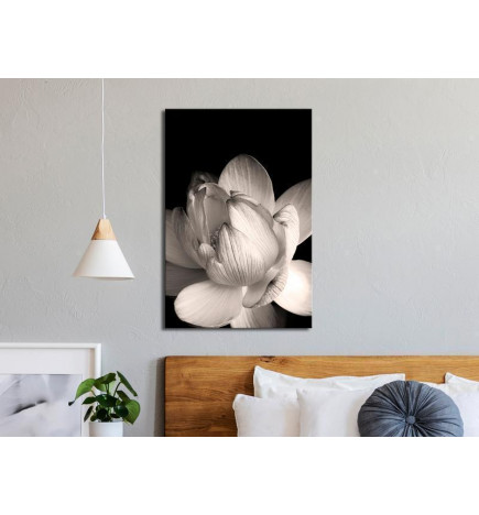 Canvas Print - Delicacy of Petals in Nature (1-part) - Flower in Black and White